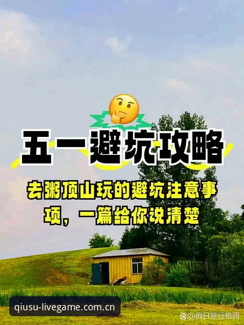 球速体育平台新版首页避坑指南：网页登录与APP下载的实用技巧